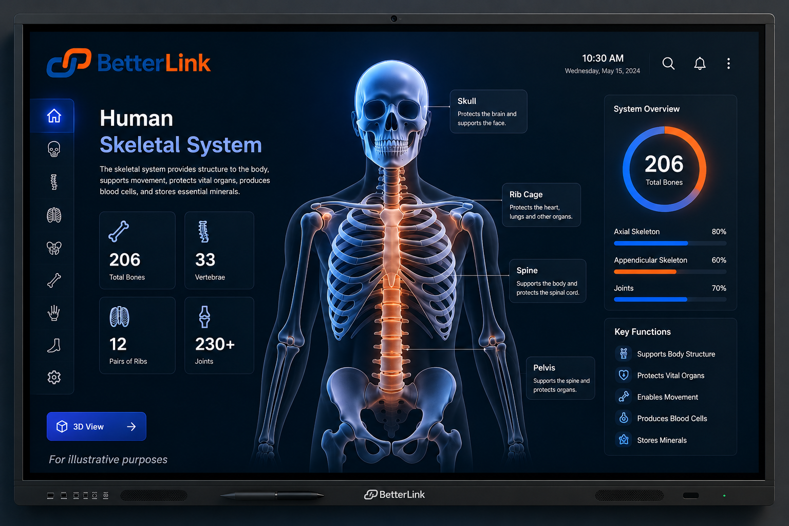 BetterLink interactive display showing a human skeletal system interface